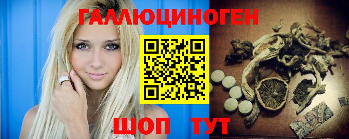 Алейск  Псилоцибиновые грибы ЛСД  Вход с VPN 