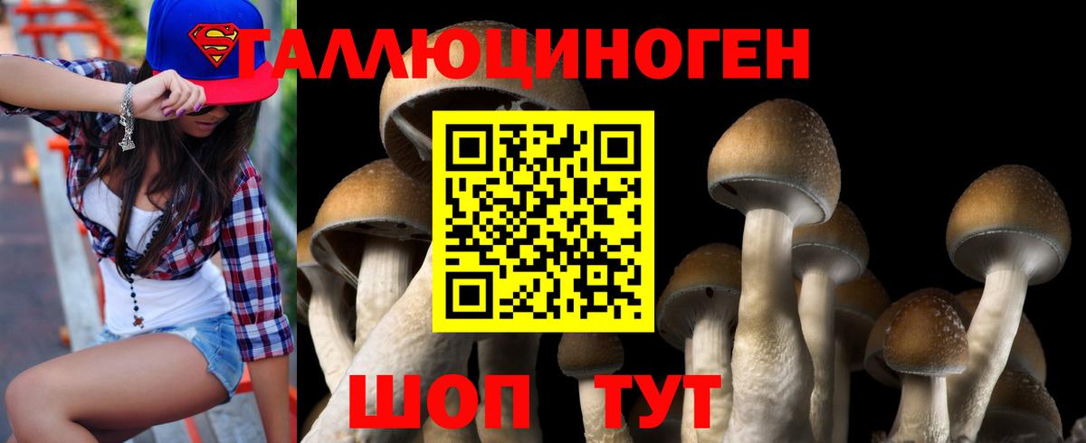 Галлюциногенные грибы Cubensis Алейск